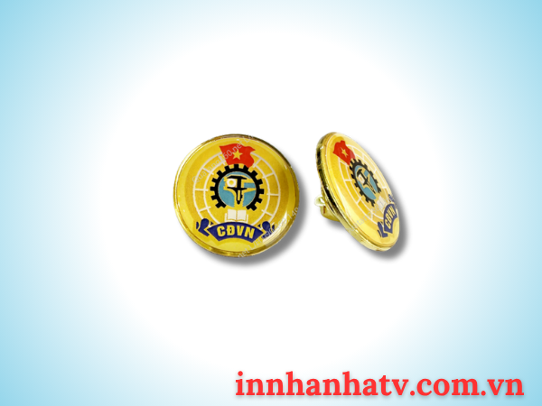 Huy Hiệu Đội Viên 