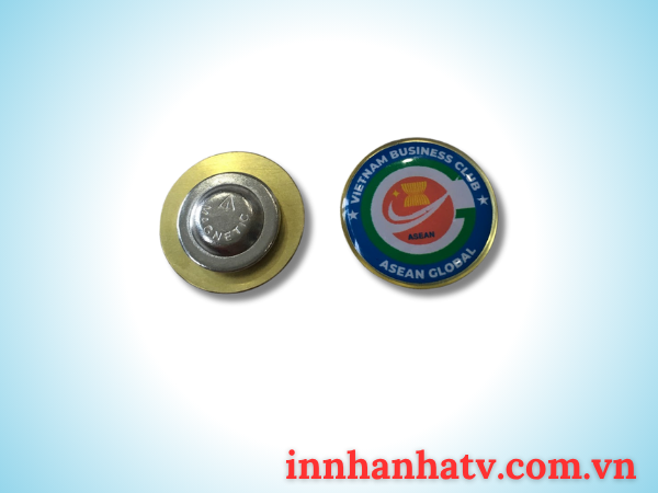 Huy Hiệu Phong Trào 