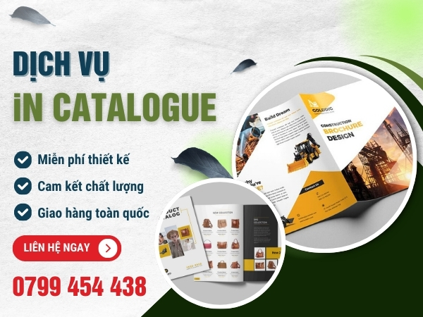 Tư vấn thiết kế và in catalogue chuyên nghiệp tại Huế